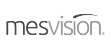 grey_mesvision